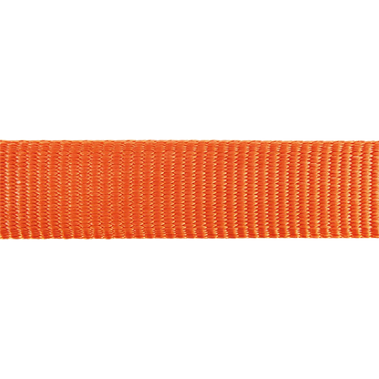 Verstellbares Nylonhalsband für Hunde