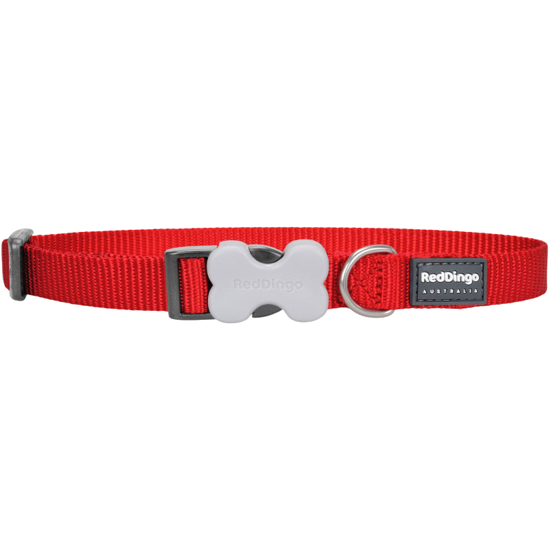 Verstellbares Nylonhalsband für Hunde