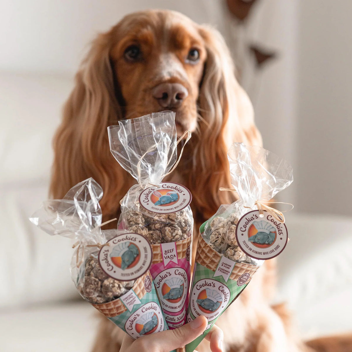 Hundesnacks-Hörner mit Schweinefleisch und Sardine