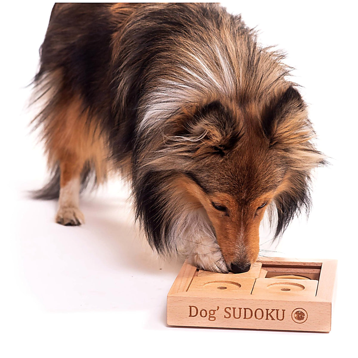 Holz-Sudoku-Logikspiel für Anfänger, für kleine Hunde und Katzen