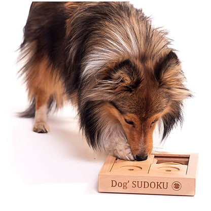 Jeu de réflexion Sudoku débutant en bois pour petits chiens et chats