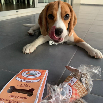 Puten-Leckerli-Hörner für Hunde