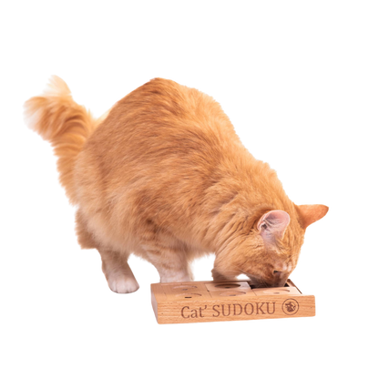 Jeu de réflexion Sudoku avancé en bois pour petits chiens et chats