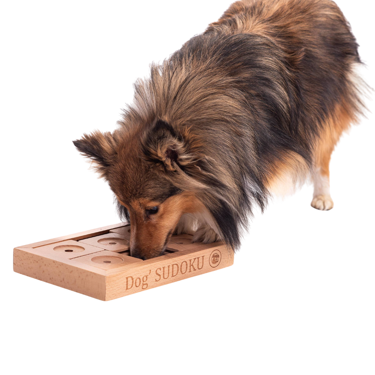 Jeu de réflexion Sudoku avancé en bois pour petits chiens et chats