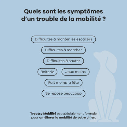 Complément alimentaire mobilité pour chiens