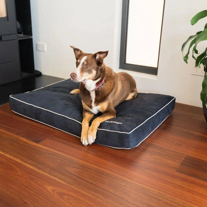 Matelas moelleux et déhoussable pour chiens
