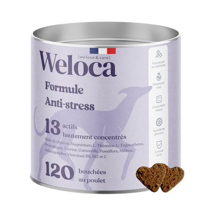 Anti-Stress-Nahrungsergänzungsmittel für Hunde